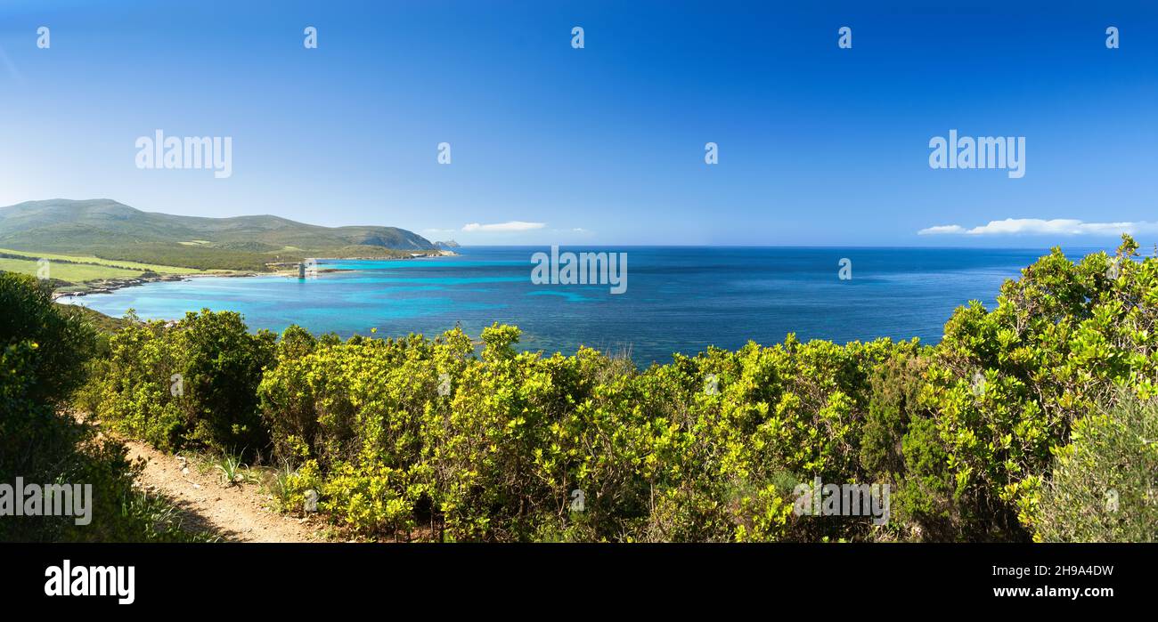 Spiaggia deserta con mare turchese e trasparente tra il 'Desert des Agriates' e Saint Florent sulla costa occidentale della Corsica in estate, selectiv Foto Stock