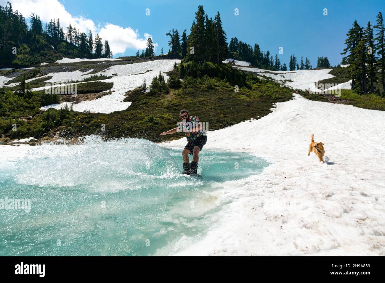 Sciatore su neve fusa. Heather Meadows, North Cascades National Park, Washington state, USA Foto Stock