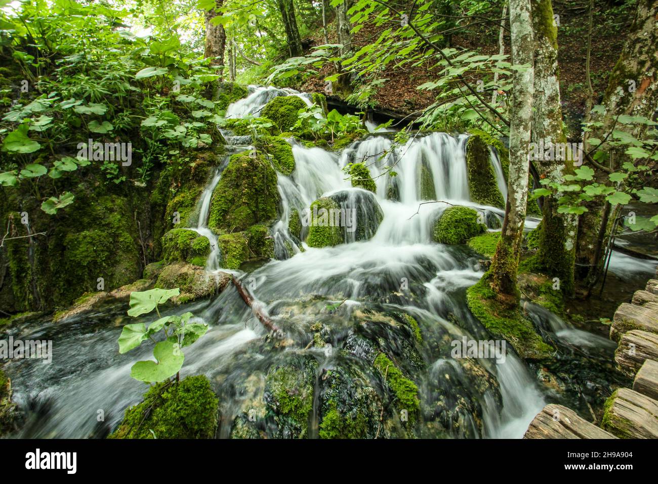 Paesaggio acquatico panoramico del Parco Nazionale dei Laghi di Plitvice in Croazia Foto Stock