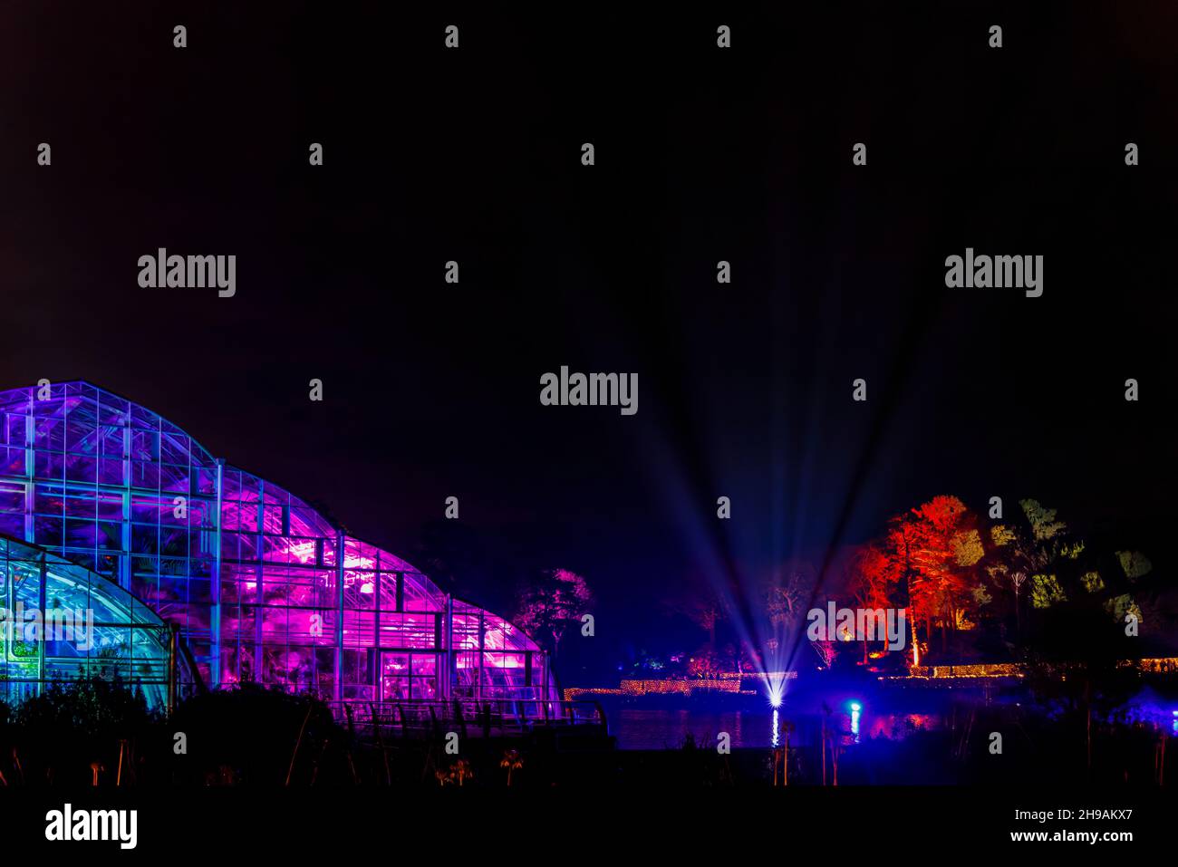 Il Glasshouse illuminato e si illumina sul lago durante Glow 2021, l'evento annuale di illuminazione natalizia al RHS Garden, Wisley, Woking, Surrey Foto Stock