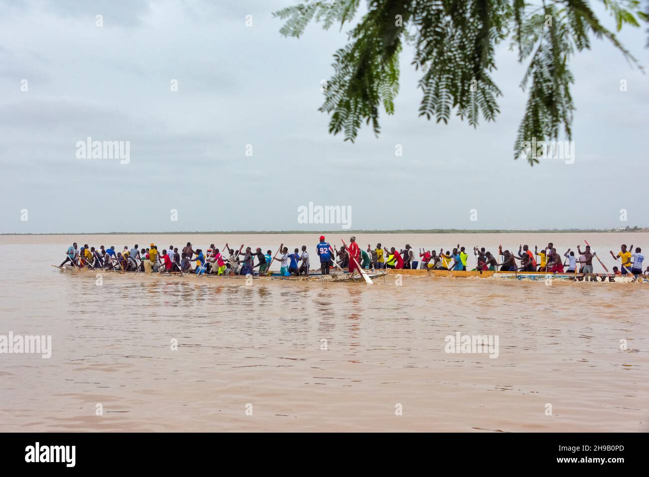 Corsa in canoa (uno sport indigeno del Senegal) sul fiume Senegal, Saint-Louis, Senegal Foto Stock