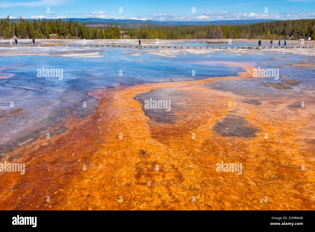 Grand Prismatic Spring, Midway Geyser Basin, Yellowstone National Park, Wyoming state, USA Foto Stock