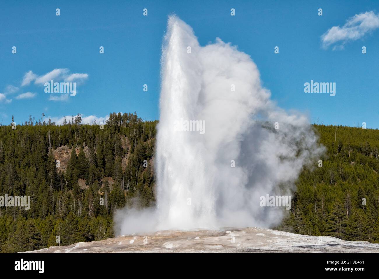 Old Faithful, Yellowstone National Park, Wyoming state, USA Foto Stock