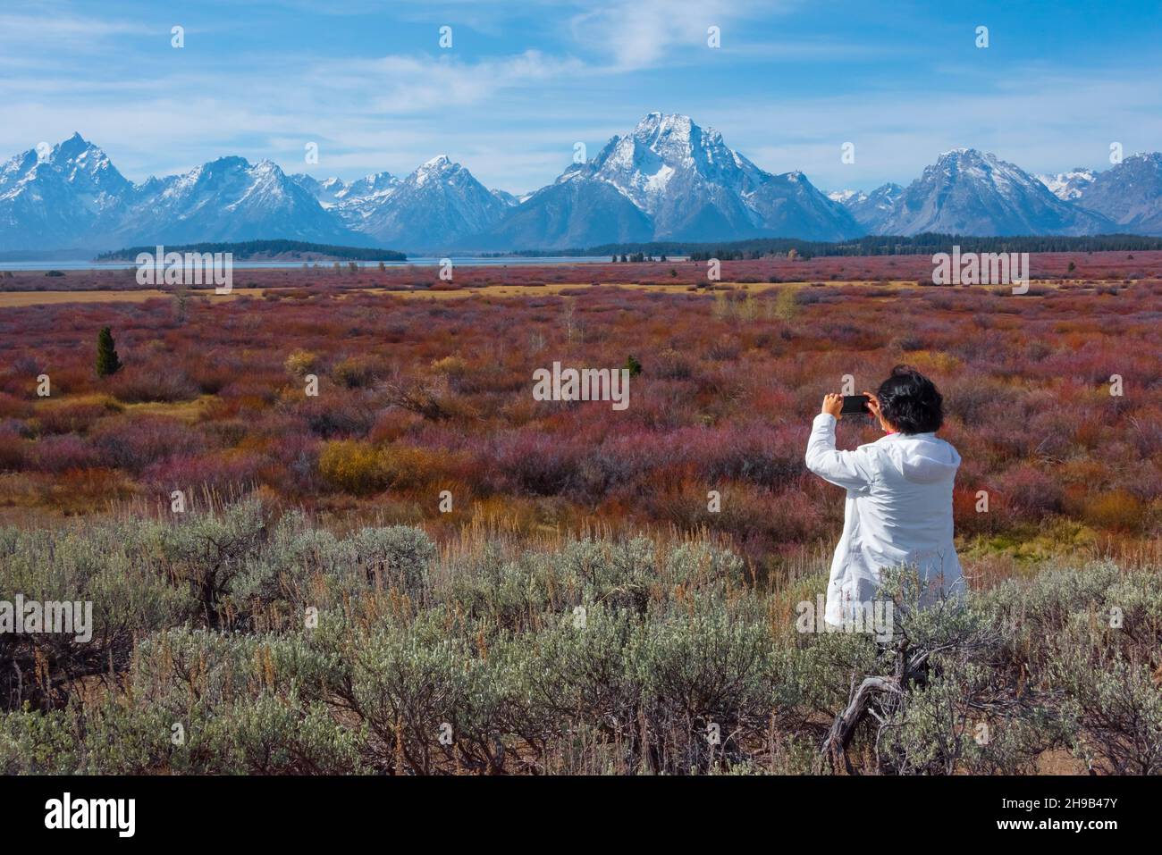 I turisti che fotografano al Grand Teton National Park, Wyoming state, USA Foto Stock