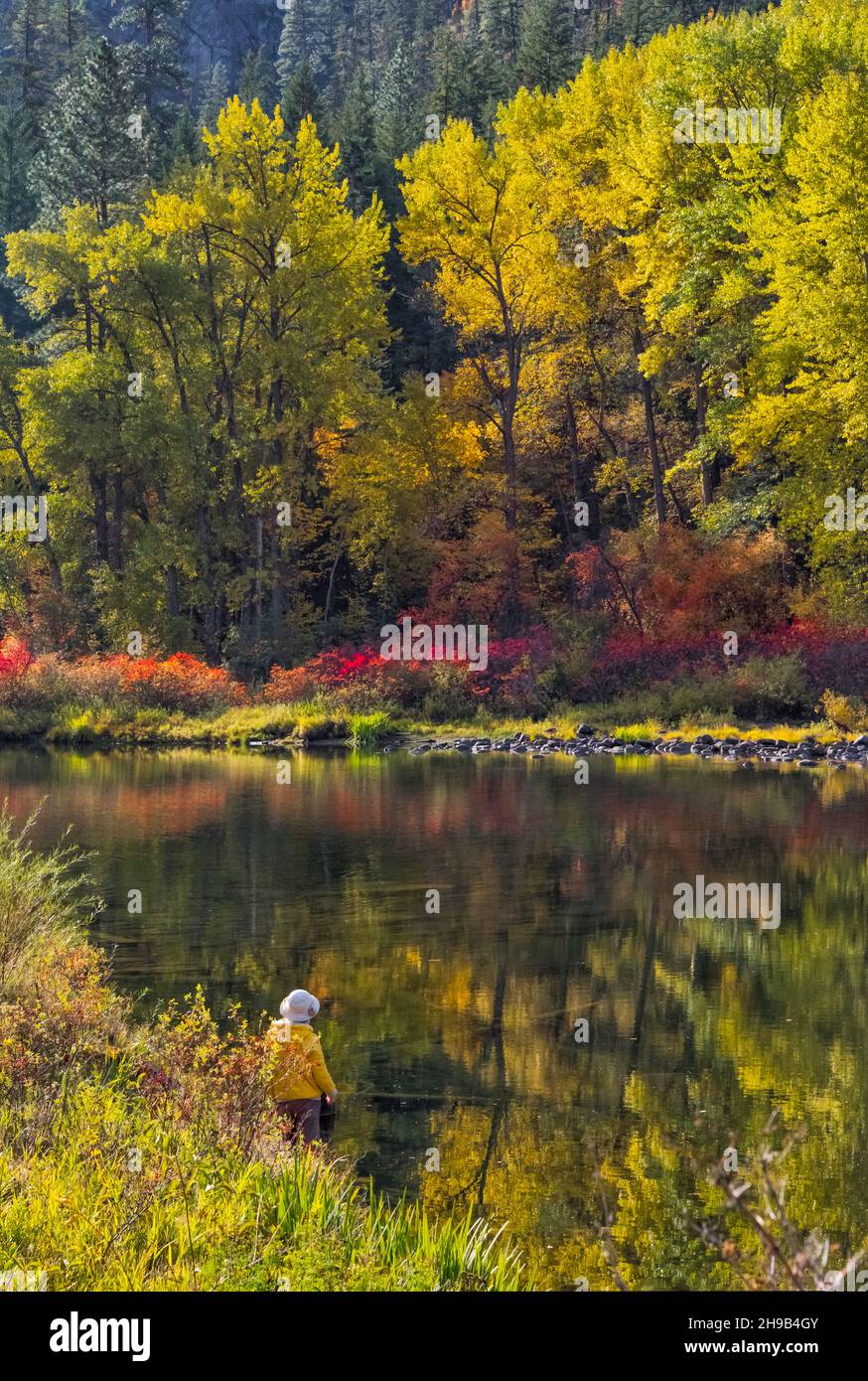 I turisti fotografano il fogliame autunnale lungo il fiume Wenatchee, Leavenworth, Washington state, USA Foto Stock