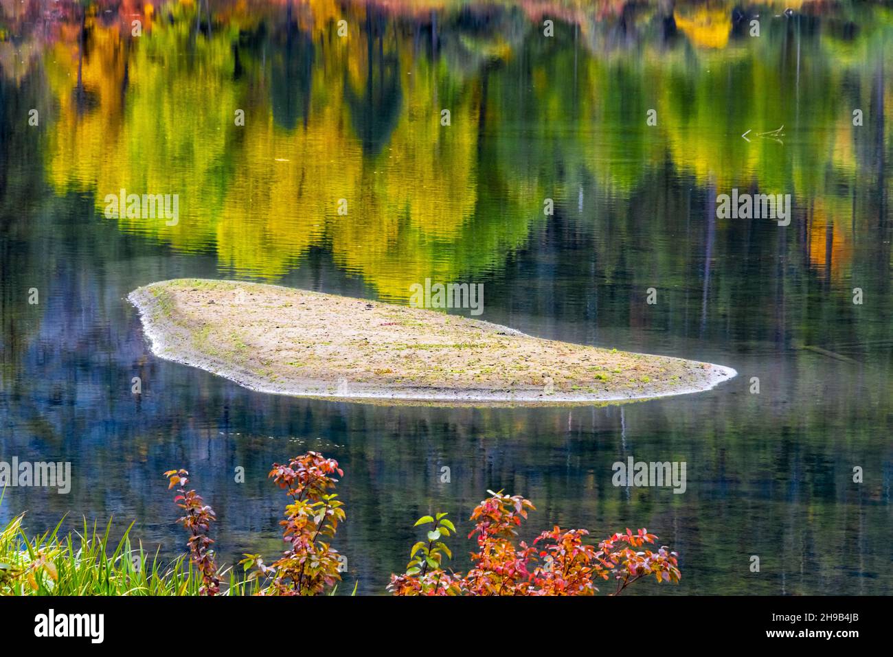 Vegetazione autunnale lungo il fiume Wenatchee, Leavenworth, Washington state, USA Foto Stock