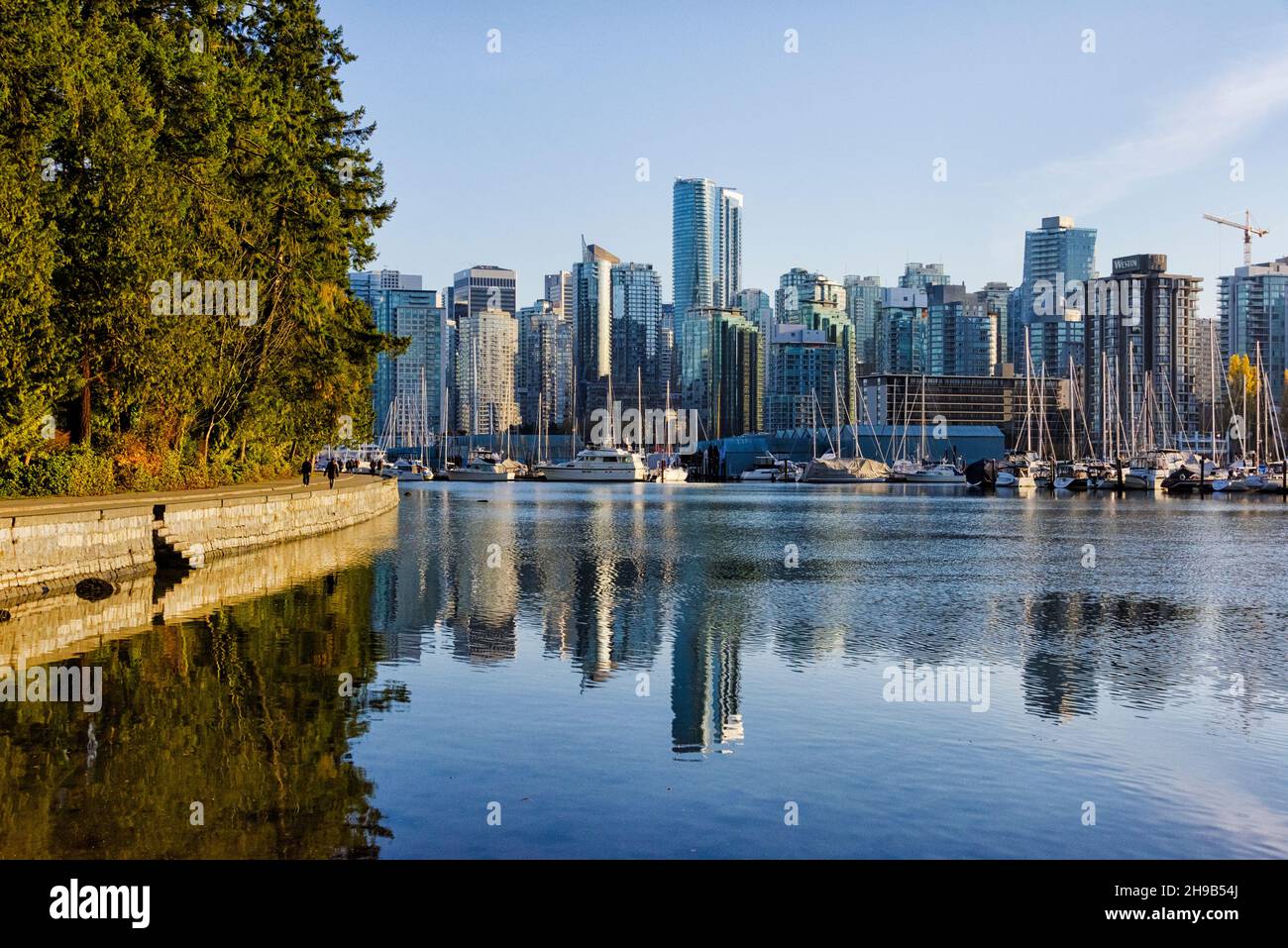 Skyline del centro, Stanley Park, Vancouver, BC, Canada Foto Stock