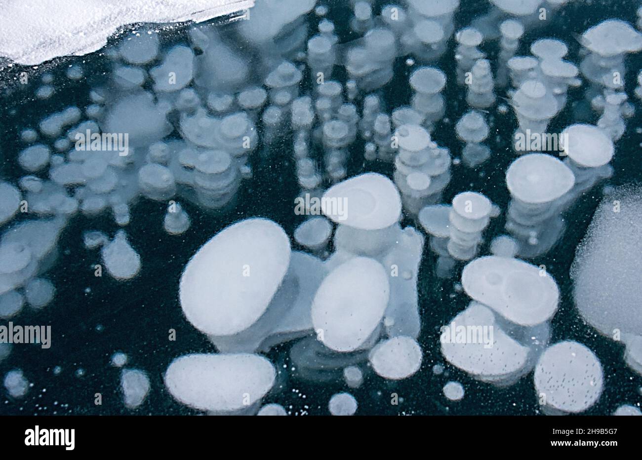 Bolle congelate di Abraham Lake, Alberta, Canada Foto Stock