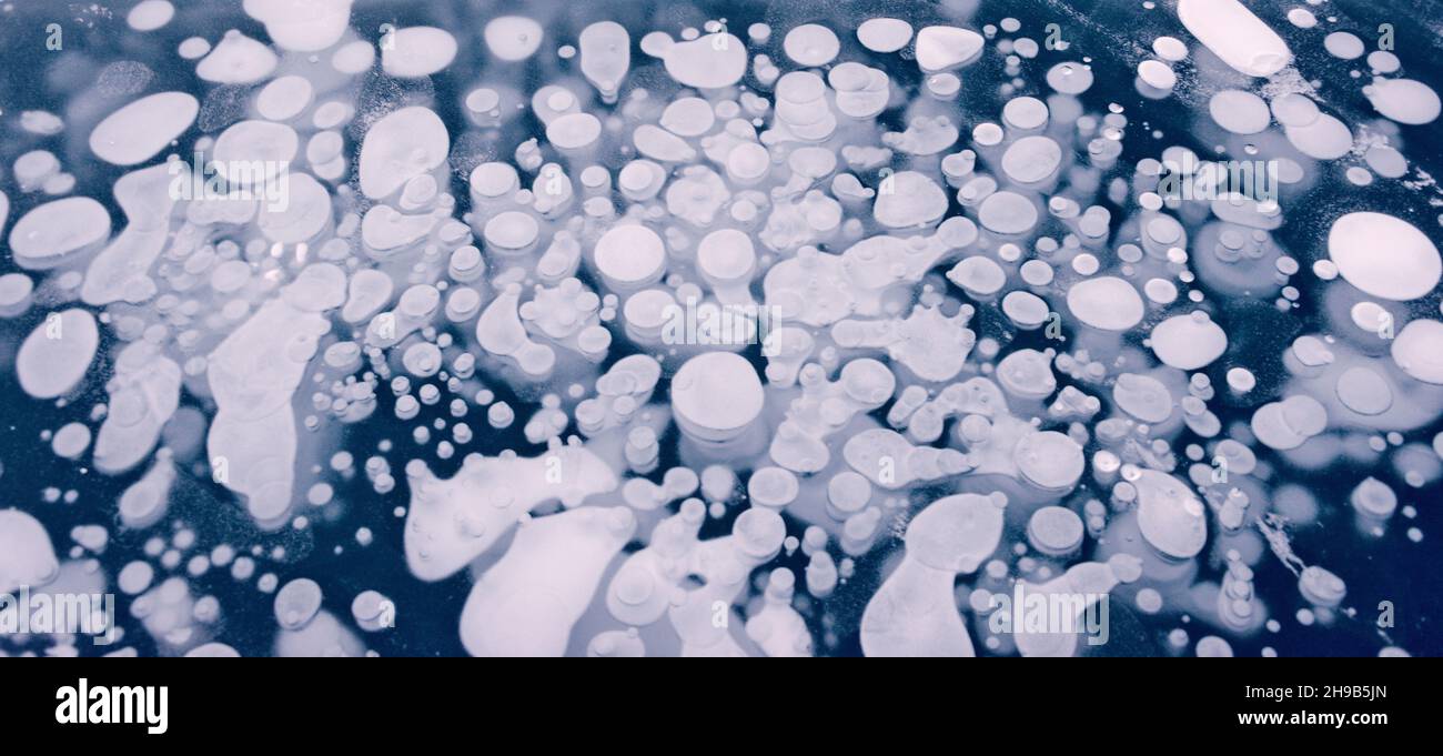 Bolle congelate di Abraham Lake, Alberta, Canada Foto Stock