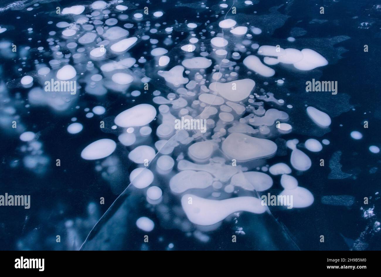 Bolle congelate di Abraham Lake, Alberta, Canada Foto Stock