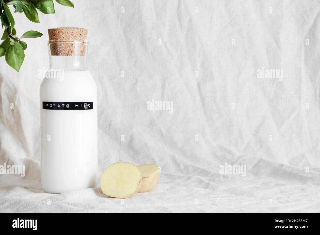 Latte di patate vegane in bottiglia con patate a fette e piante verdi su tessuti grigiati. Prodotto privo di lattosio. Spazio di copia. Cibo vegetariano sano Foto Stock