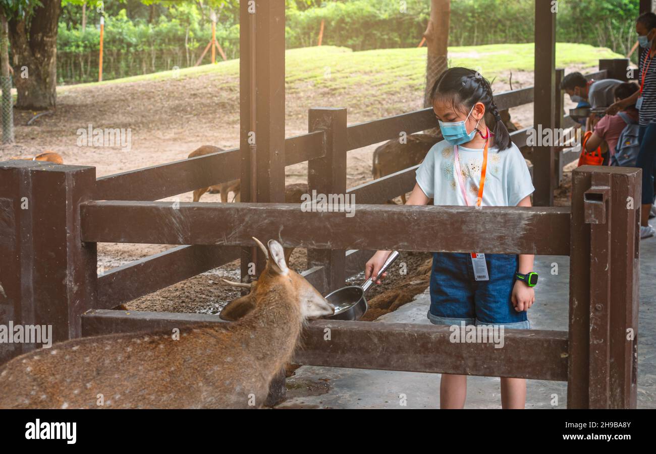 Asian bambino ragazza gruppo di alimentazione del cervo in uno zoo, bambino ragazza che indossa maschera facciale o maschera medica, tenendo in mano pentola maniglia in alluminio con cibo per i cervi Foto Stock