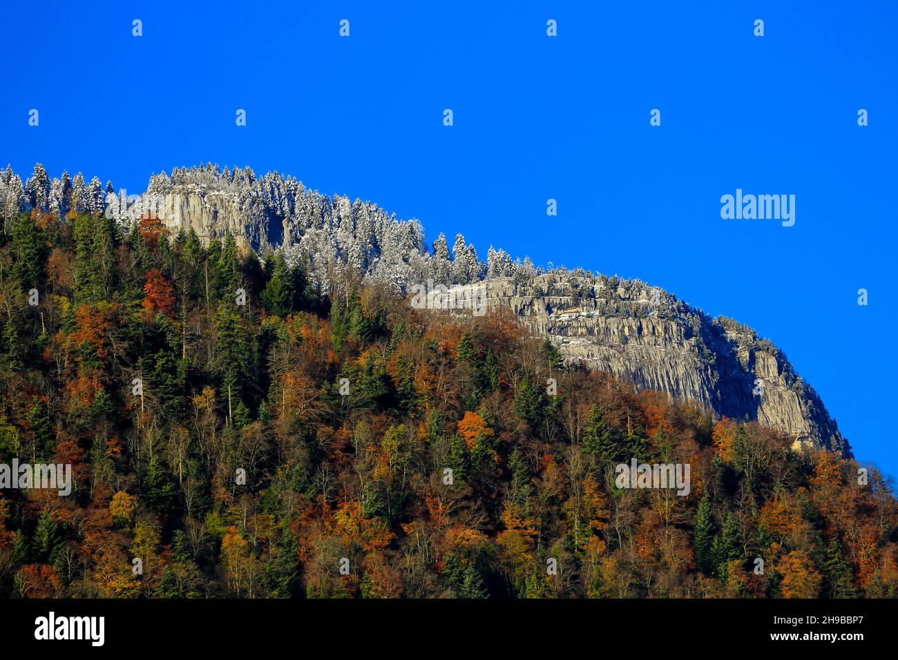 Alpi in autunno (o in autunno), montagne e alberi d'oro. Foto Stock