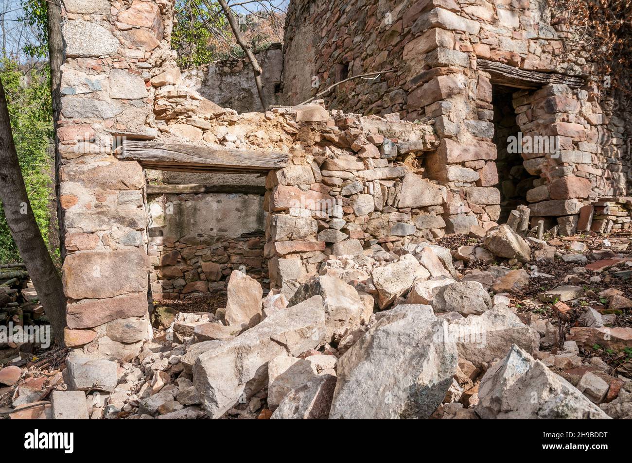 Casa in pietra nel mezzo della foresta, il Massif Guilleries, Catalogna, Spagna Foto Stock