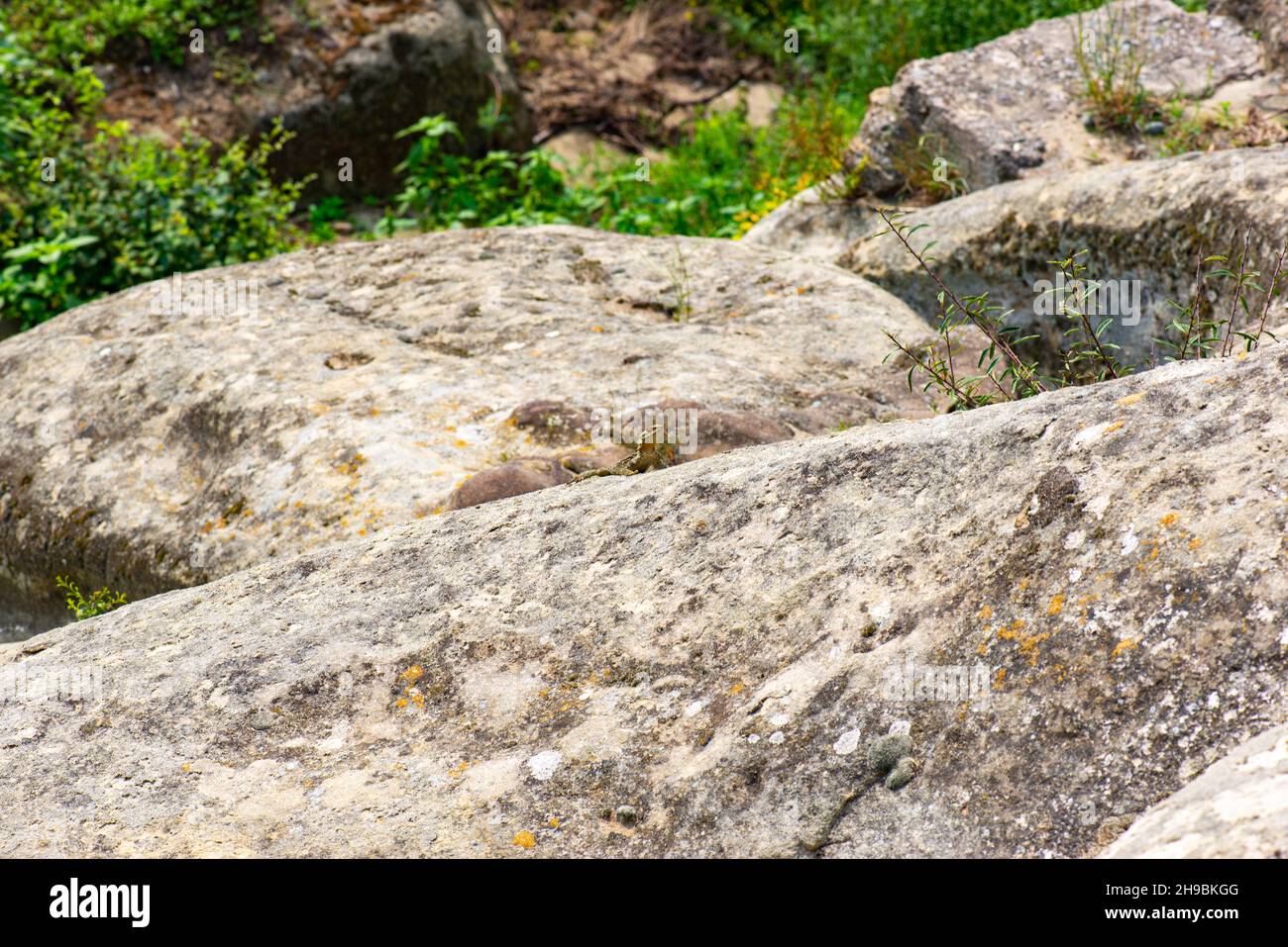 Pietre enormi con erba in Uplistsikhe in Georgia Foto Stock