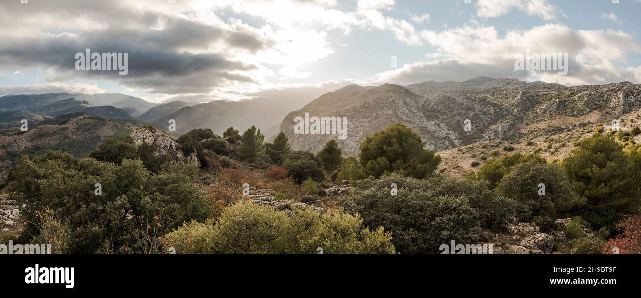 Sierra de las Nieves, parco nazionale, all'interno della Serrania de Ronda, Andalusia, Spagna meridionale. Foto Stock