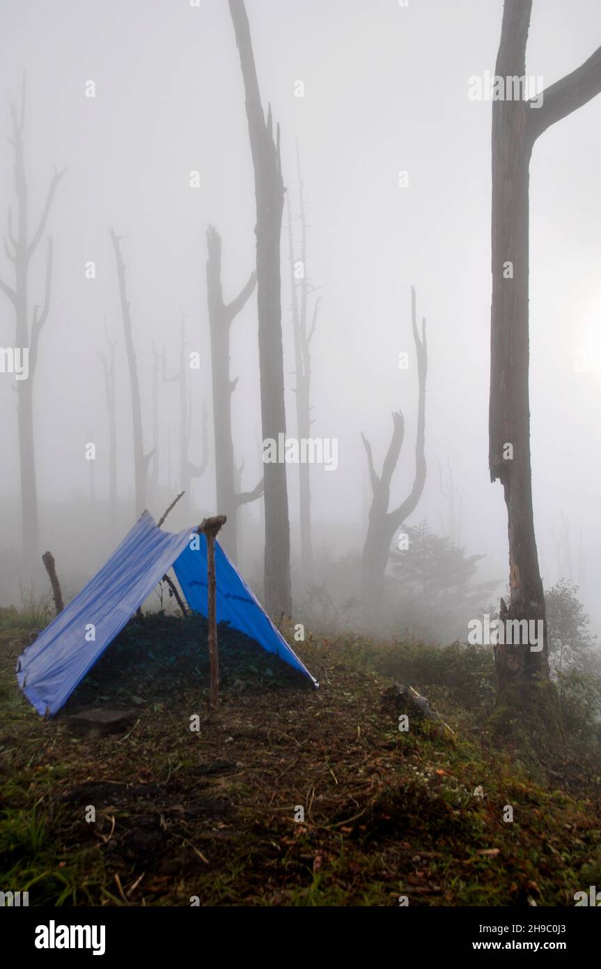 Campeggio all'aperto in una tenda grezza sulle montagne dell'Himalaya in una mattinata nebbiosa. Fotografato in India, paesaggio del Sikkim Foto Stock