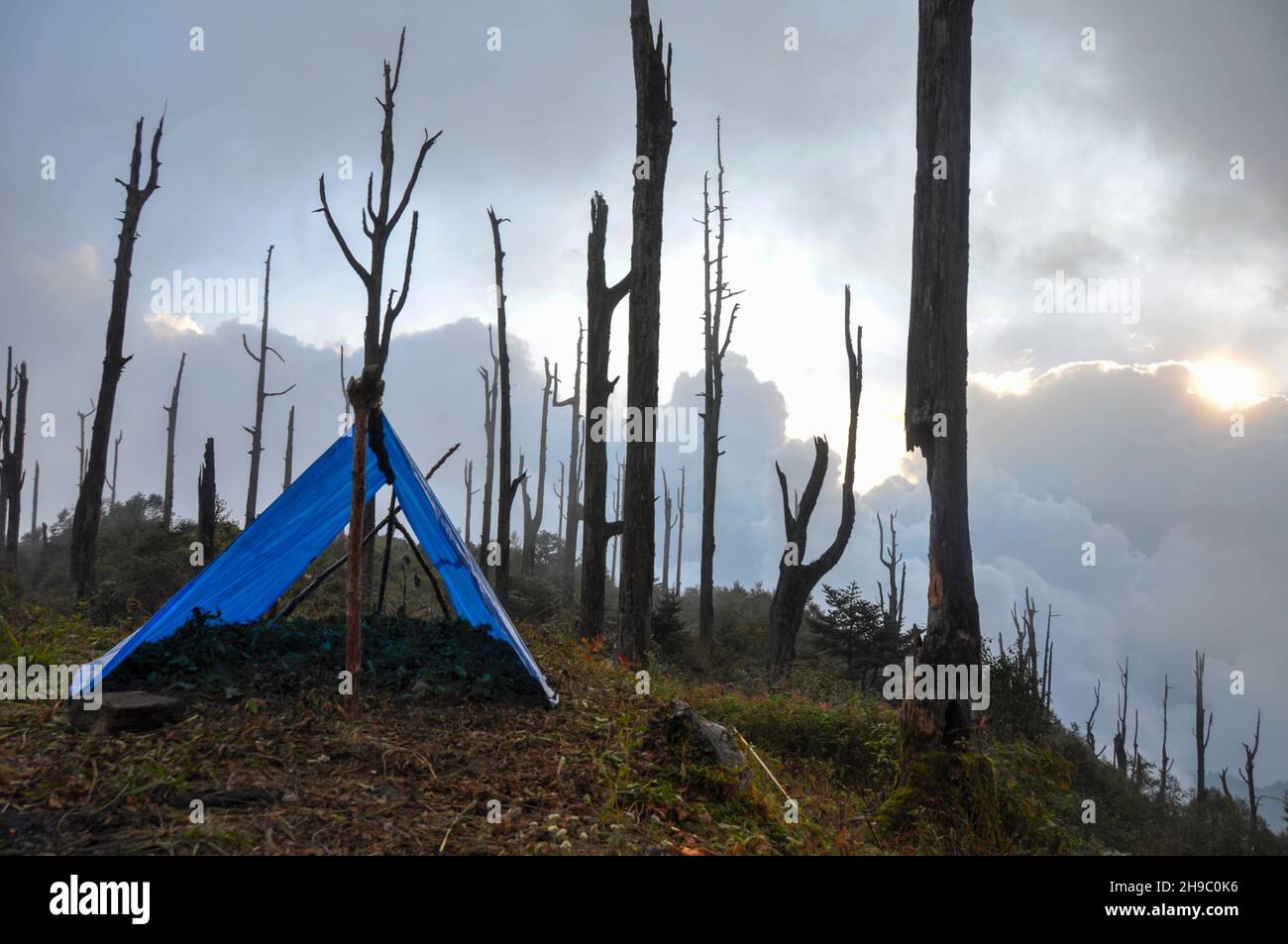 Campeggio all'aperto in una tenda grezza sulle montagne dell'Himalaya. Fotografato in India, paesaggio del Sikkim Foto Stock