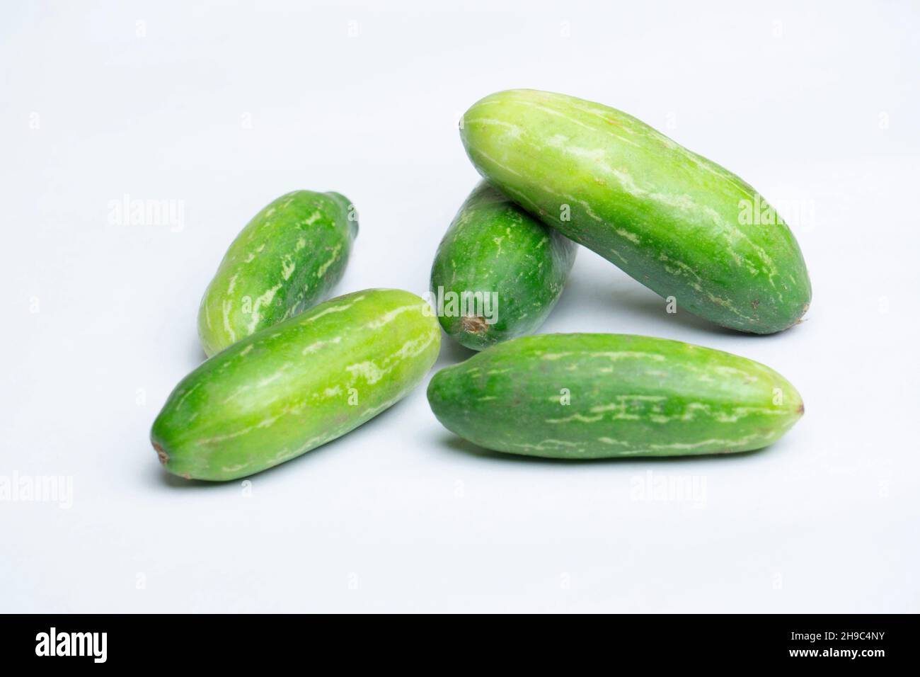 Semi di zucca edera Coccinia Grandis Tindora Pianta per giardinaggio domestico - Italia Semi di zucca edera Coccinia Grandis Tindora Pianta per giardinaggio domestico - Italia