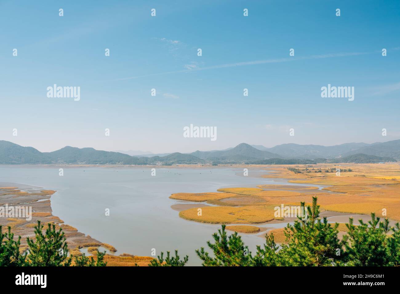 Vista panoramica della zona umida di Suncheonman Bay in autunno a Suncheon, Corea Foto Stock