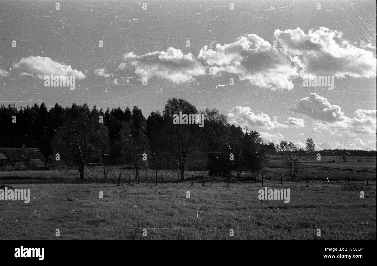 Boles³awiec, 1947-10. Siedlisko na skraju miasta. wb/gr PAP Dok³adny dzieñ wydarzenia nieustalony. Boleslawiec, ottobre 1947. Una casa alla periferia della città. wb/gr PAP Foto Stock