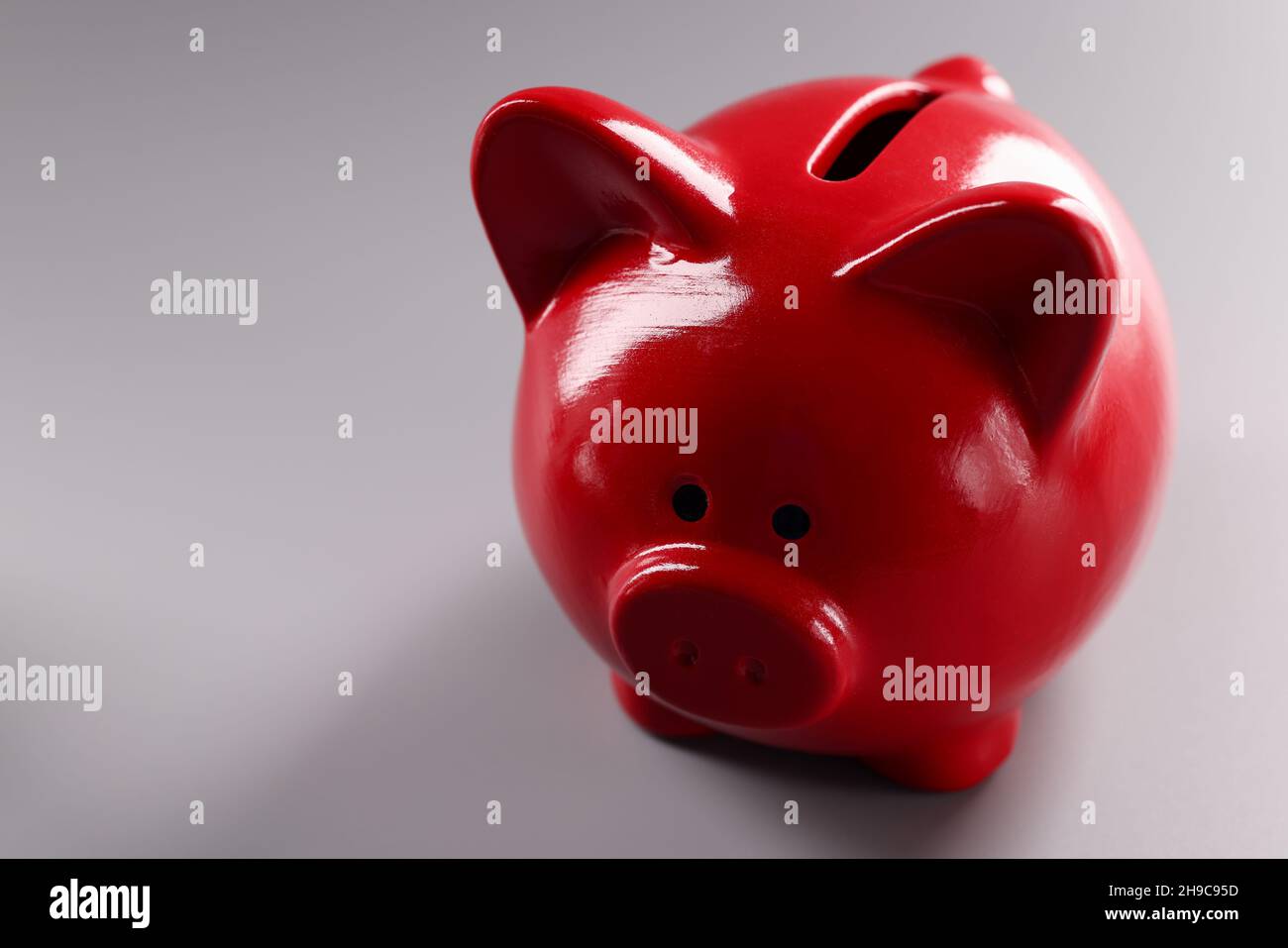 Riva di piggy rossa in piedi su sfondo grigio primo piano Foto Stock