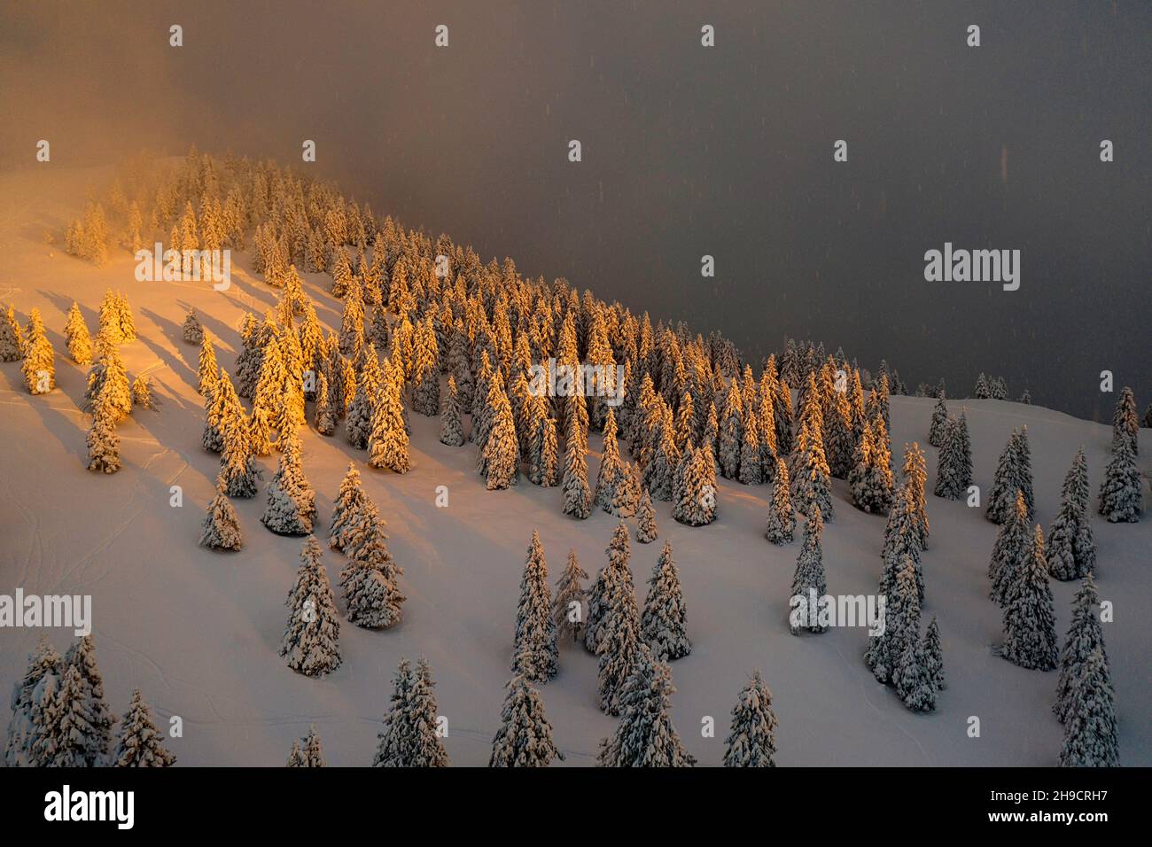 Fantastico paesaggio serale con drammatica scena invernale con alberi innevati, Krvavec, Slovenia, Europa Foto Stock