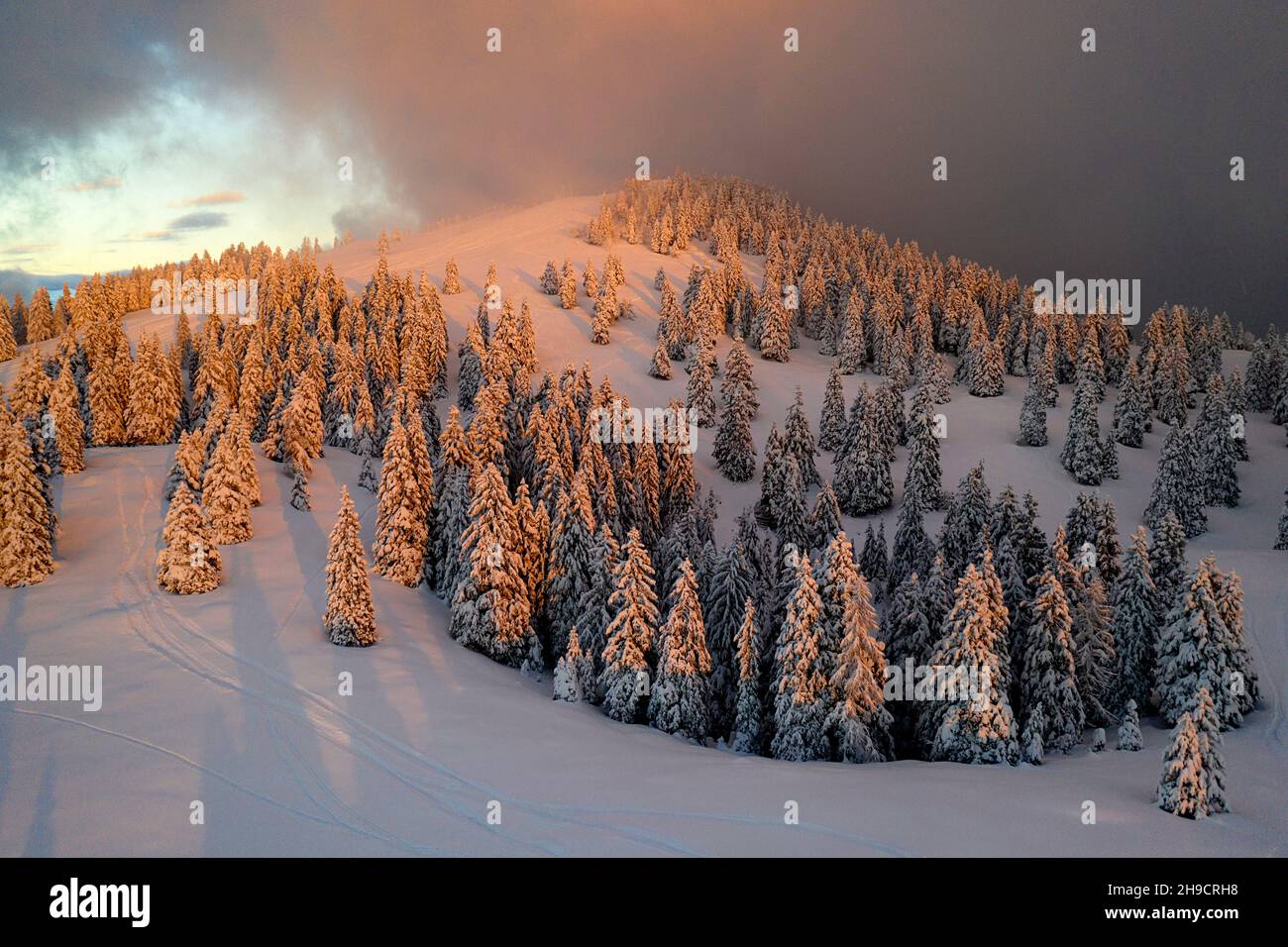 Fantastico paesaggio serale con drammatica scena invernale con alberi innevati, Krvavec, Slovenia, Europa Foto Stock