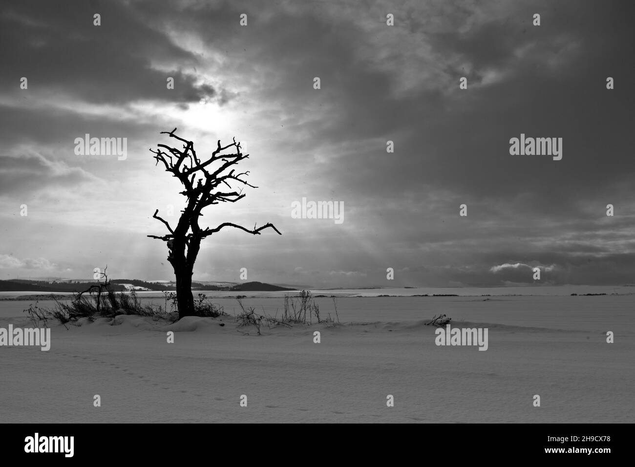 inverno, neve Foto Stock