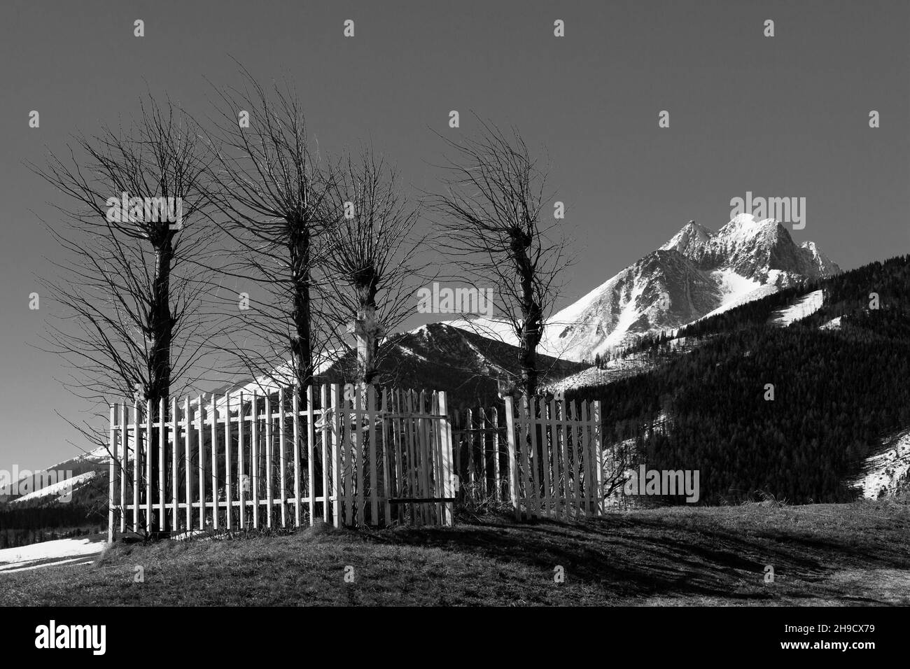 Altezza Tatra, Ždiar Foto Stock