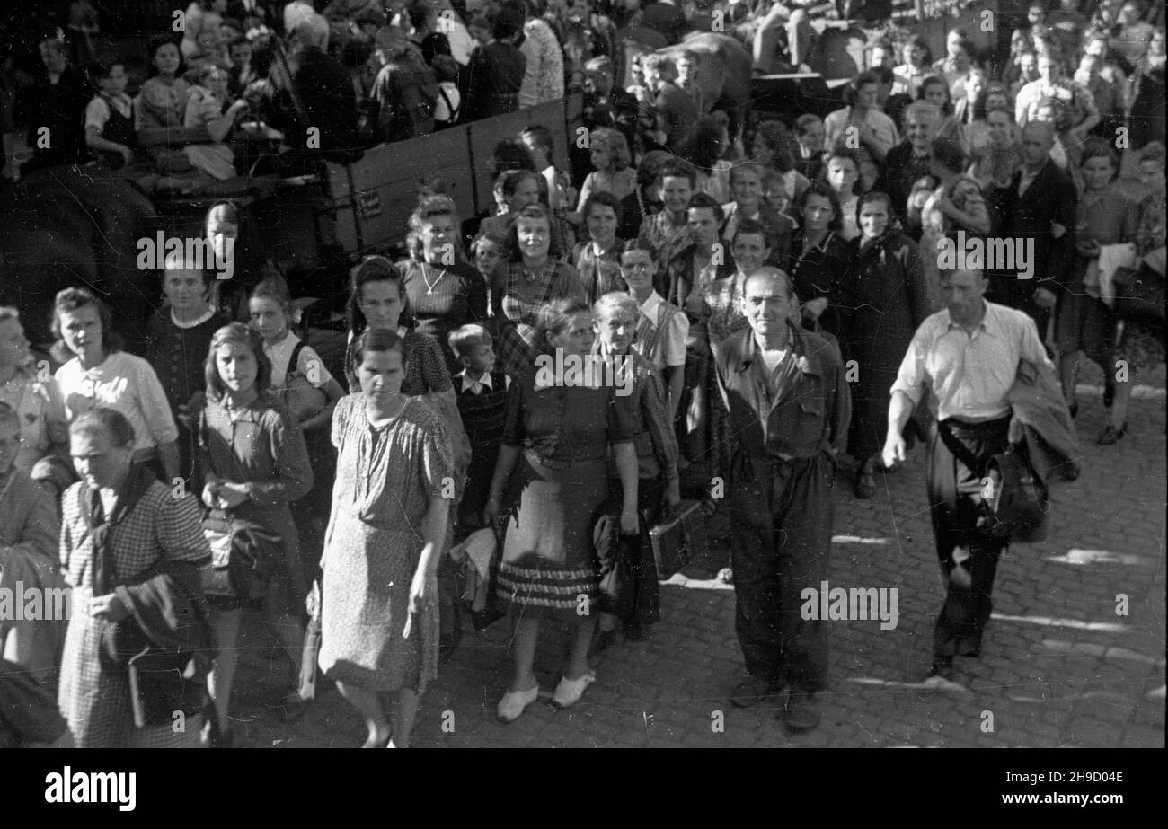 Piekary Œl¹skie, 1947-09. Uroczystoœci religijne w Sanktuarium matki Boskiej Piekarskiej. T³um wiernych udaje siê na Wzgórze Kalwarii Piekarskiej. bk/mgs PAP Dok³adny dzieñ wydarzenia nieustalony. Piekary Slaskie, 1947 settembre. La Madre di Dio dalla cerimonia religiosa di Piekary. Le masse dei fedeli vanno alla collina del Calvario di Piekary. bk/mgs PAP Foto Stock