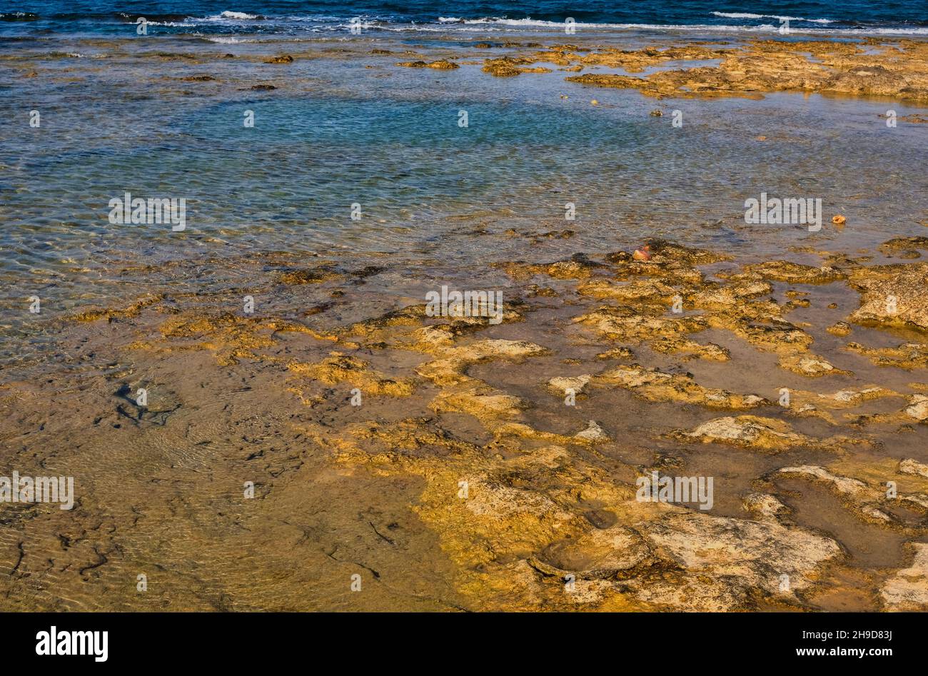 Paesaggio idilliaco del Sud Italia Puglia, riserva naturale di Torre Guaceto natura autentica con meravigliose nuvole Foto Stock