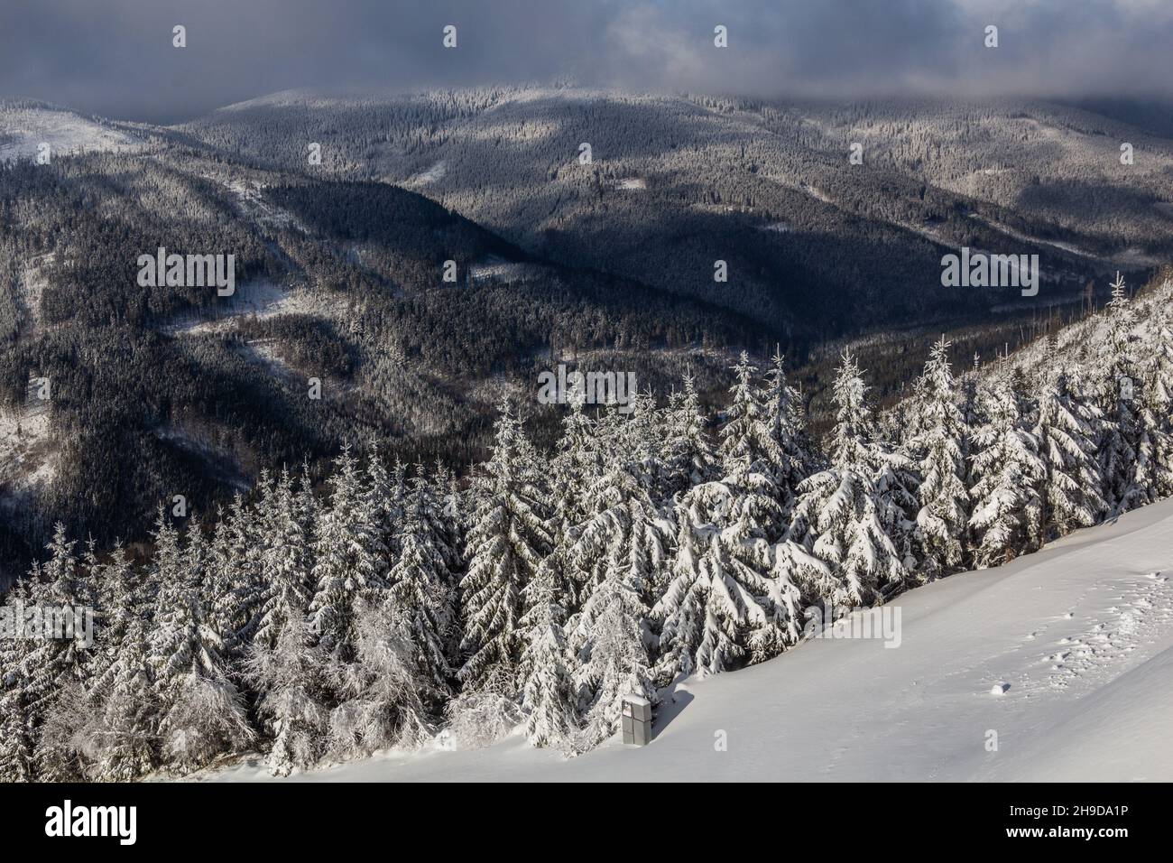 Vista invernale della valle di Dolni Morava, Repubblica Ceca Foto Stock