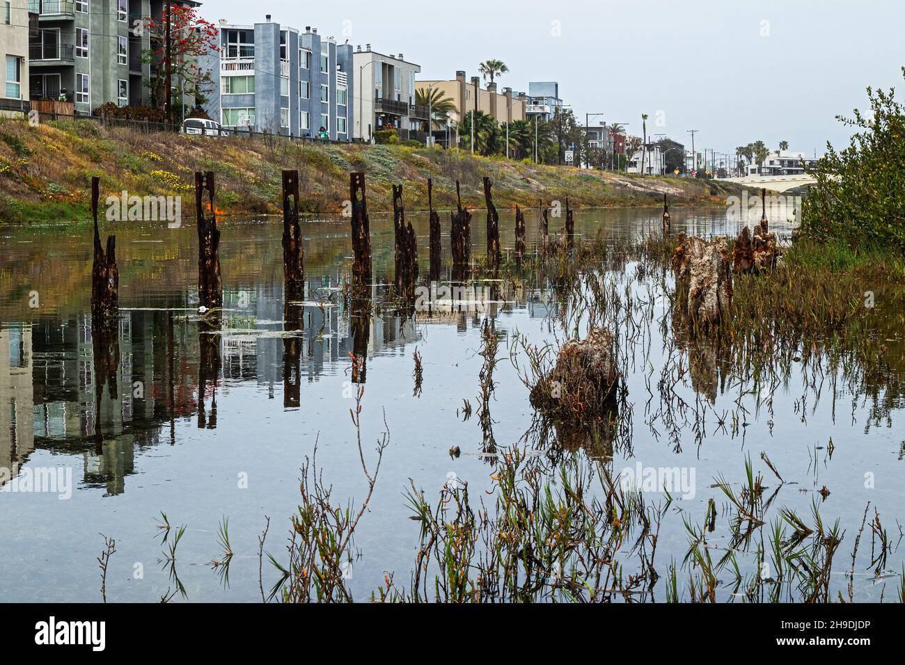 I pilings rimangono di struttura che ha tenuto gli impianti di produzione di petrolio indietro quando Venezia era sede delle centinaia dei pozzi di petrolio. La Laguna di Ballona era una volta parte di Foto Stock