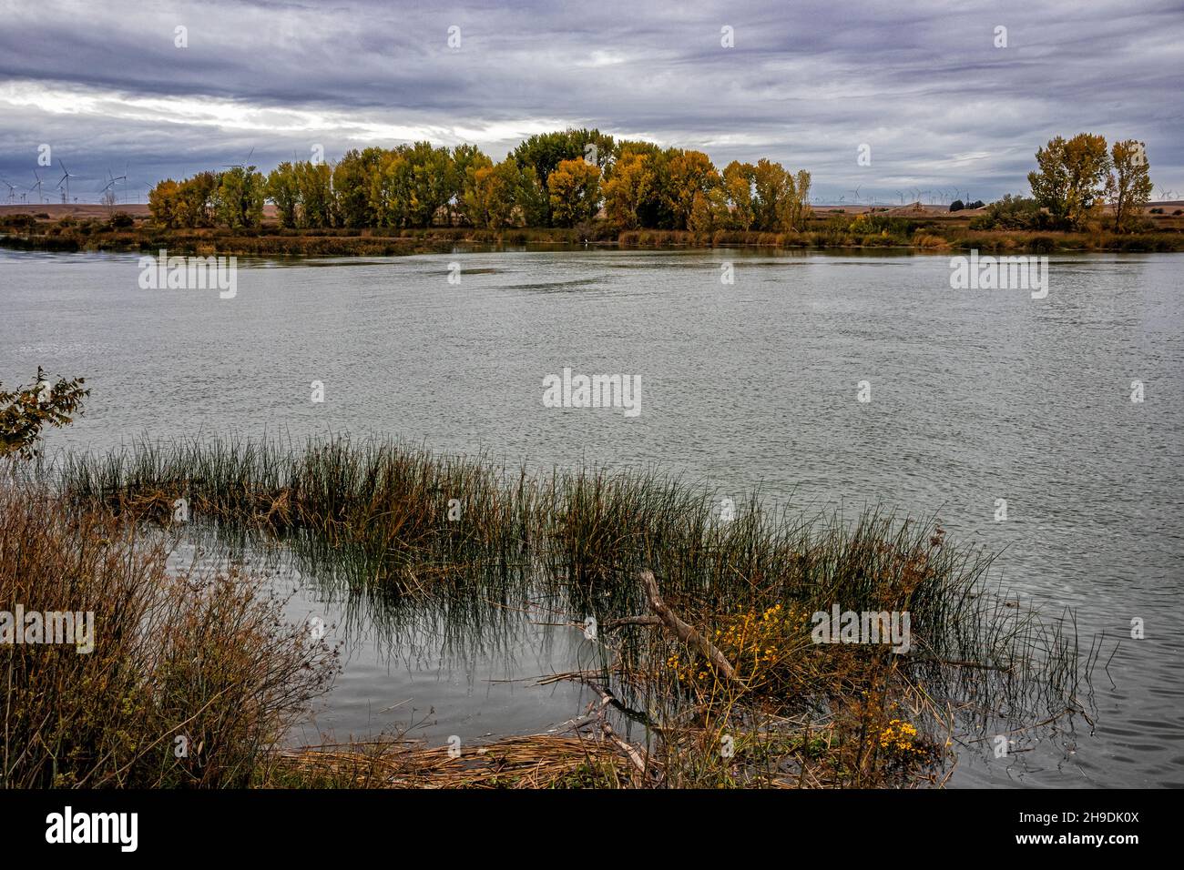 Sacramento River nel Delta del fiume Sacramento-San Joaquin River, Sacramento County, California, USA Foto Stock