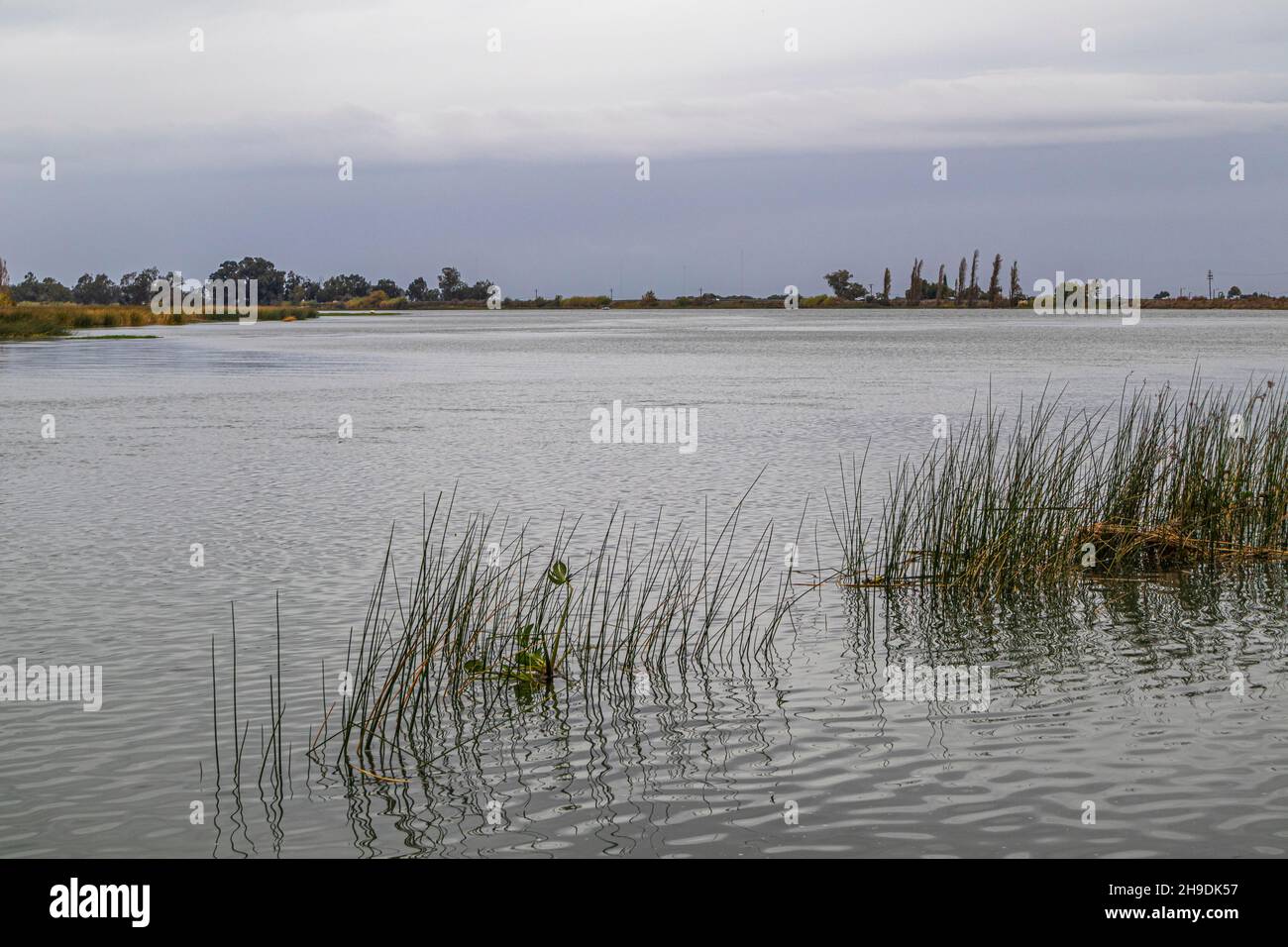 Sacramento River nel Delta del fiume Sacramento-San Joaquin River, Sacramento County, California, USA Foto Stock