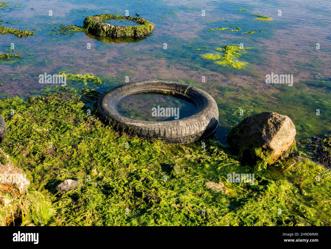 Rifiuti e rifiuti sul mare, poluzione Foto Stock