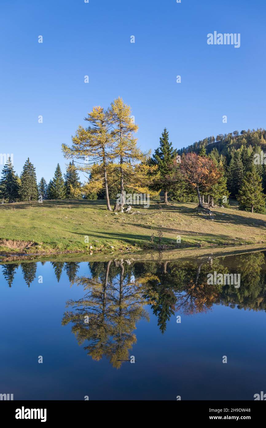 Alberi che si riflettono nell'acqua - Krvavec, Slovenia Foto Stock