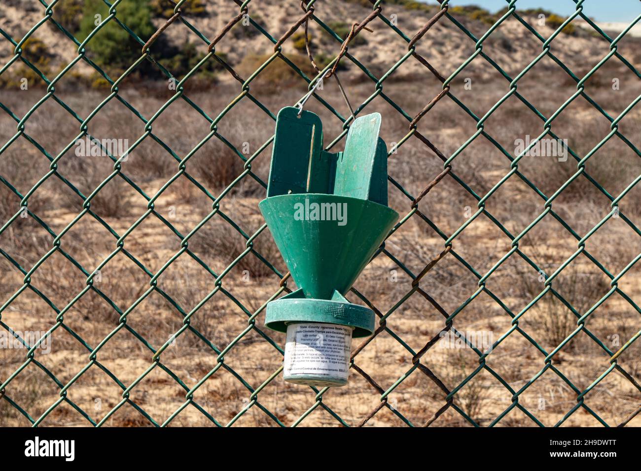 Japanese Beetle Tap, Los Angeles International Airport (LAX), Los Angeles, Callifornia, USA Foto Stock