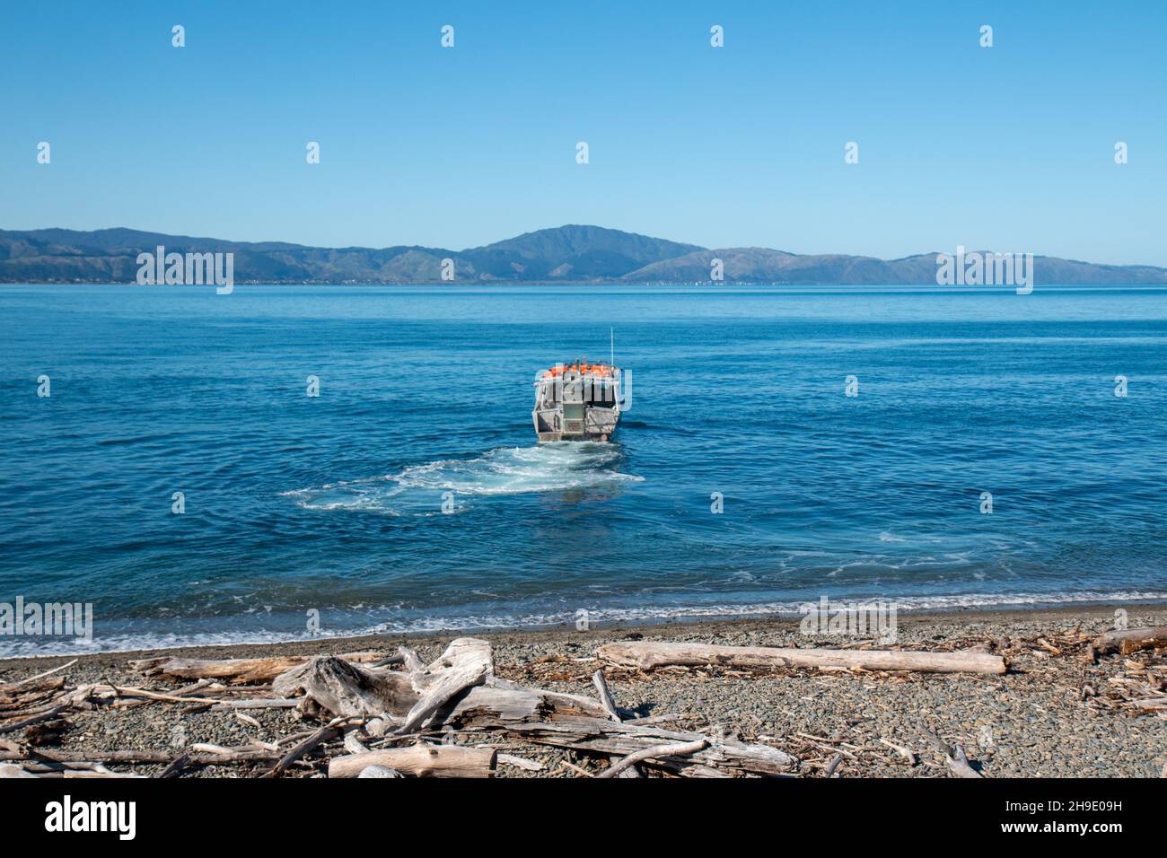 Barca con partenza dall'isola di Kapiti per tornare a Kapiti, Nuova Zelanda Foto Stock