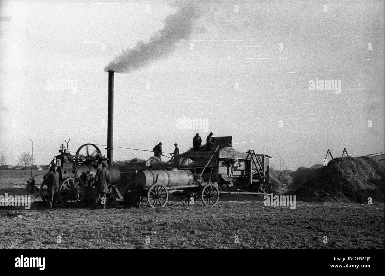 Polska, 1947-10. Ziemie Odzyskane. M³ócenie ¿yta na poniemieckiej m³ocarni (m³ockarni) napêdzanej lokomobil¹. mb/gr PAP Dok³adny dzieñ wydarzenia nieustalony. Polonia, ottobre 1947. Territori riconquistati. Trebbiatura della segale in una macchina di trebbiatura precedentemente tedesca. mb/gr PAP Foto Stock