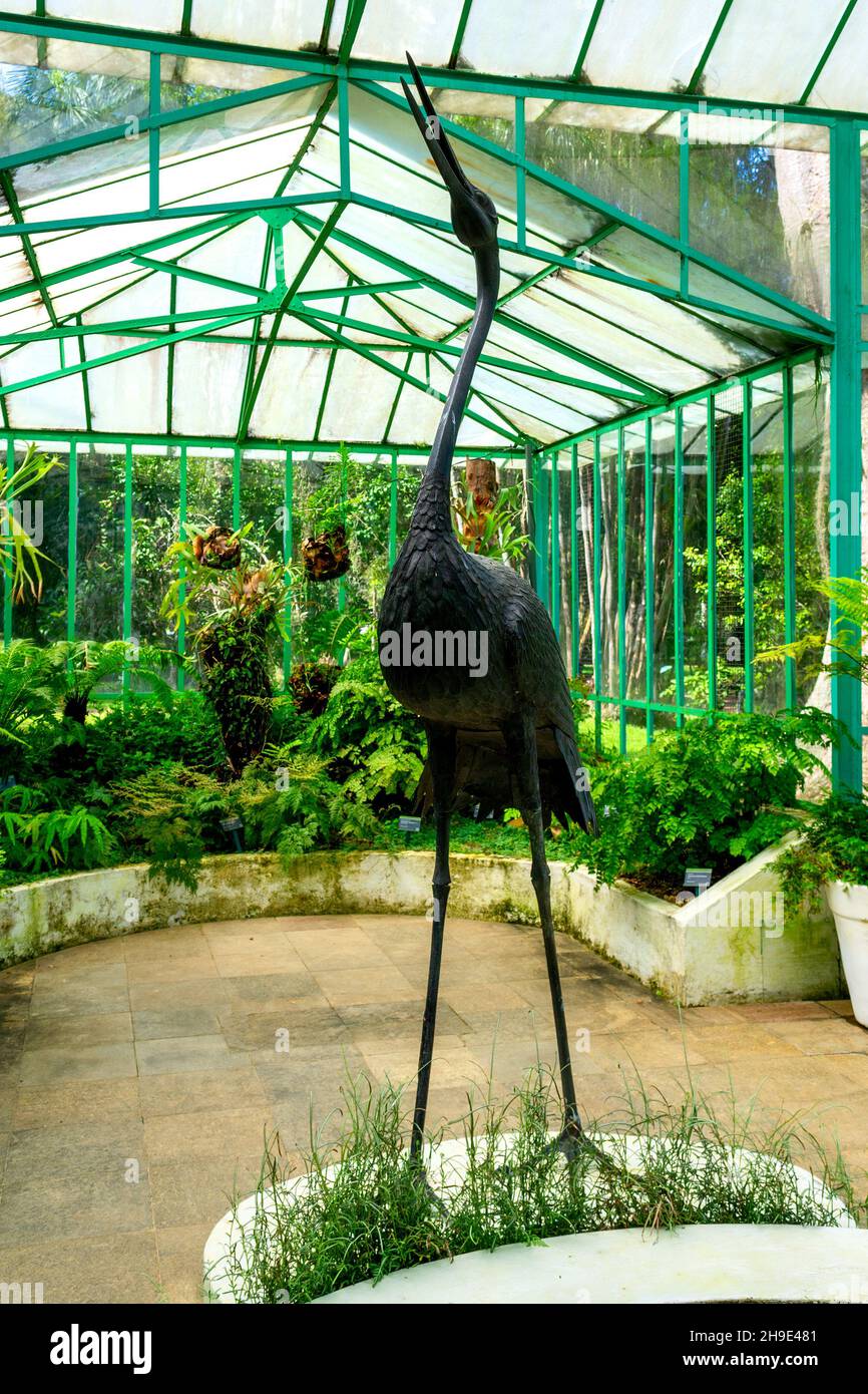 Nel giardino botanico di Rio de Janeiro, BrazilRio de Janerio City in Brasile. Punto di riferimento del viaggio Foto Stock