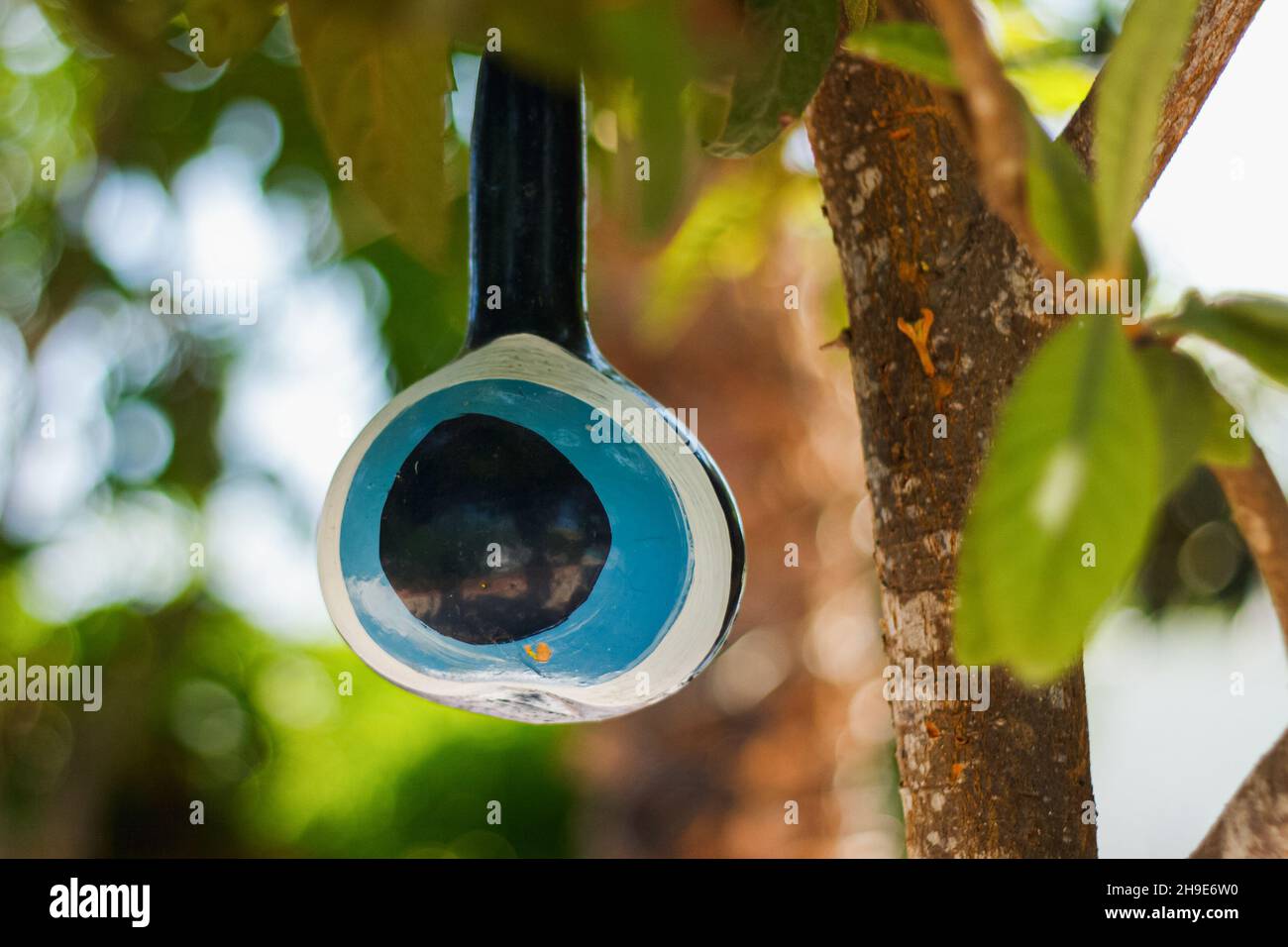 Amuleto asiatico appeso su rami di albero per proteggere contro il male occhio, primo piano di un amuleto buona fortuna Foto Stock