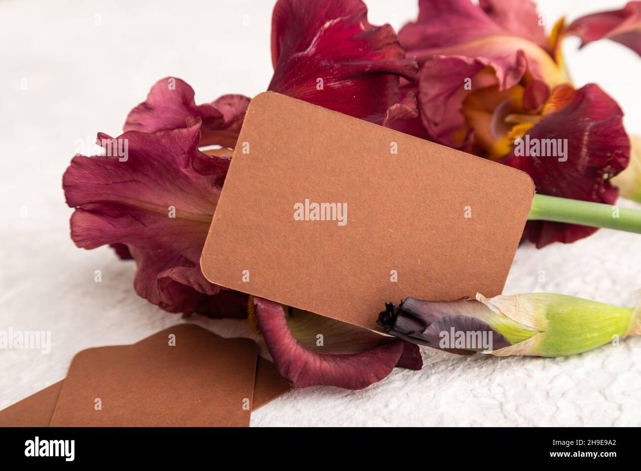 Biglietto da visita marrone con iris bordeaux fiori viola su sfondo bianco calcestruzzo. Vista laterale, spazio copia, mockup, modello, primavera, minimalismo estivo Foto Stock
