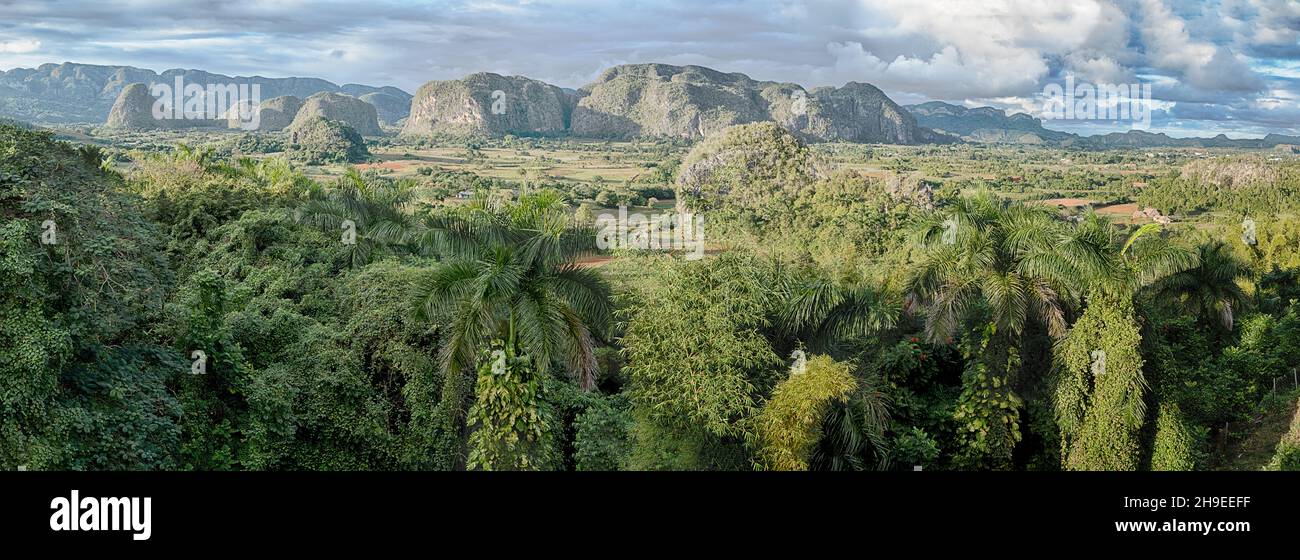 Una vista panoramica della valle di Vinales mette in risalto le lussureggianti foreste verdi, i campi e la campagna, e le mojote (o montagne) in lontananza. Foto Stock