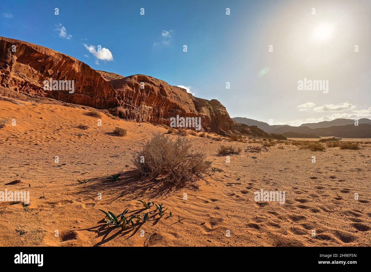 Piccola scogliera di roccia nel deserto di Wadi Rum, il sole splende sulla polvere rossa e sulle rocce, arbusti in primo piano, cielo blu sopra Foto Stock