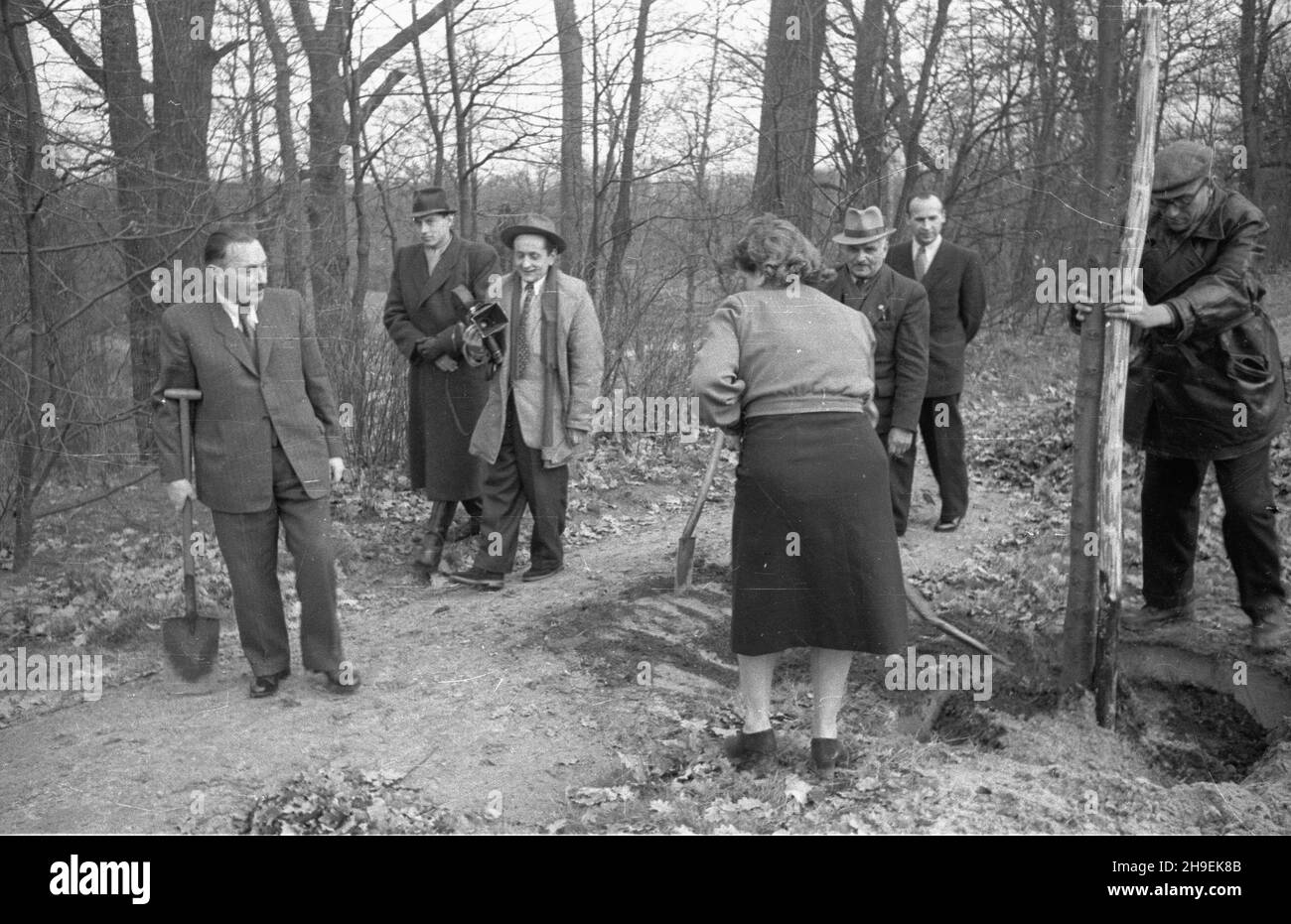 Warszawa, 1947-11. Prezydent Boles³aw Bierut bierze udzia³ w spo³ecznej akcji jesiennego sadzenia drzew w Parku Natoliñskim. m.in. Szef kancelarii prezydenta Kazimierz Mijal (2P), Boles³aw Bierut (L), sekretarka prezydenta Wanda Górska (ty³em). W g³êbi ekipa Polskiej Kroniki Filmowej: W³adys³aw Forbert (z kamer¹), obok niego z lewej Mieczys³aw Wiesio³ek. po/mgs PAP Dok³adny dzieñ wydarzenia nieustalony. Varsavia, novembre 1947. Il Presidente Boleslaw Bierut partecipa all'azione sociale autunnale della piantagione di alberi nel Parco Natolinski. Nella foto: Capo della Cancelleria Presidenziale Kazimie Foto Stock