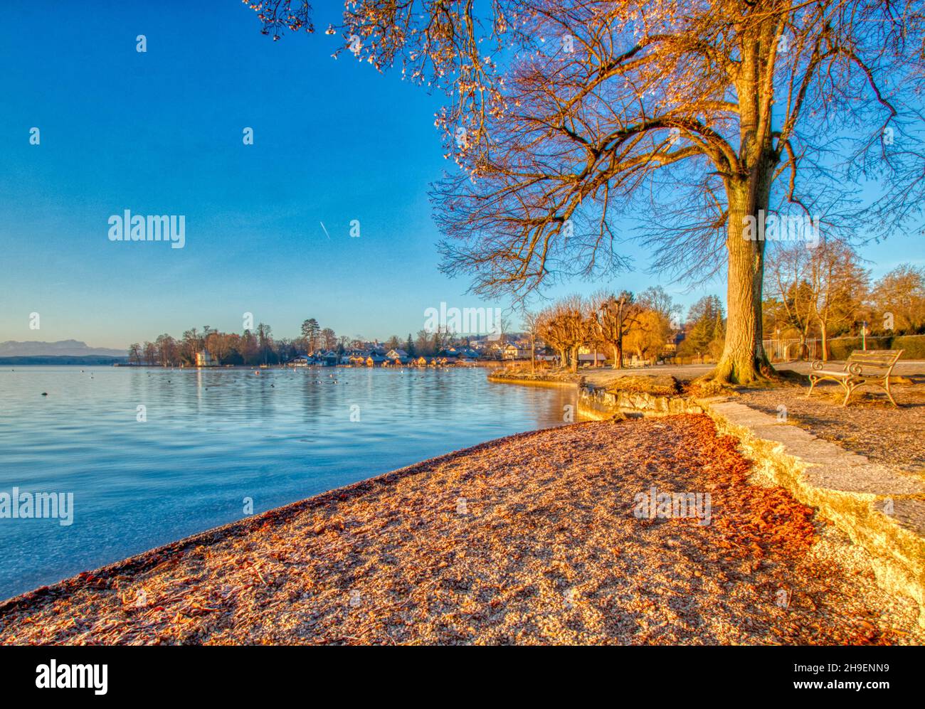 Riva dello Starnberger See a Tutzing, Germania Foto Stock