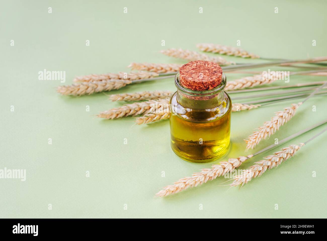 Olio in vaso di vetro e orecchie di grano su sfondo verde chiaro. Olio di germe di grano. Vista dall'alto, spazio di copia. Foto Stock