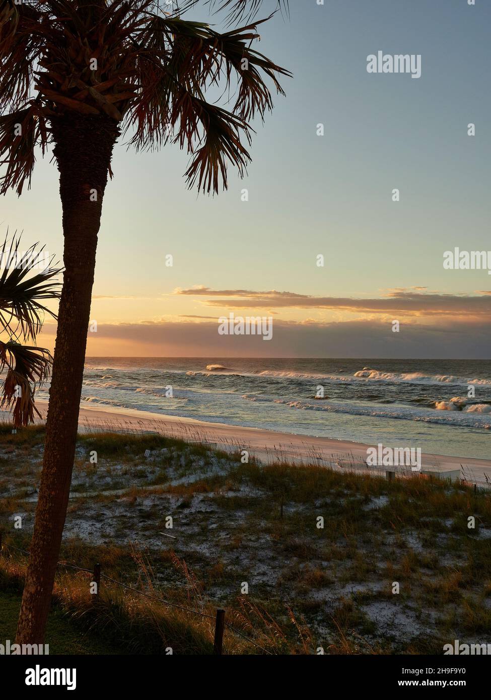 Alberi di palma, e una spiaggia di sabbia bianca all'alba sul Golfo del Messico nel Panhandle della Florida conosciuta come la Costa Smeralda vicino Destin Florida, USA. Foto Stock